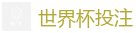 世界杯投注_2026世界杯买球官方网站